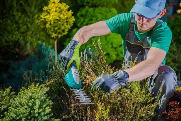 landscaping services Okolona